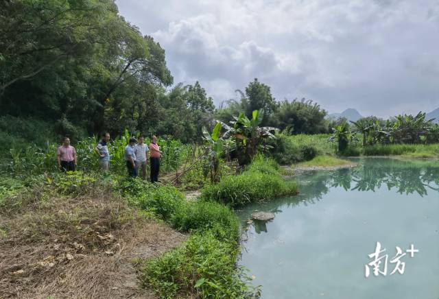 實(shí)地調(diào)研。