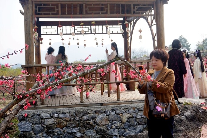 桃花節(jié)在九陂鎮(zhèn)開幕，迎來八方游客。清遠日報記者 周璐攝。