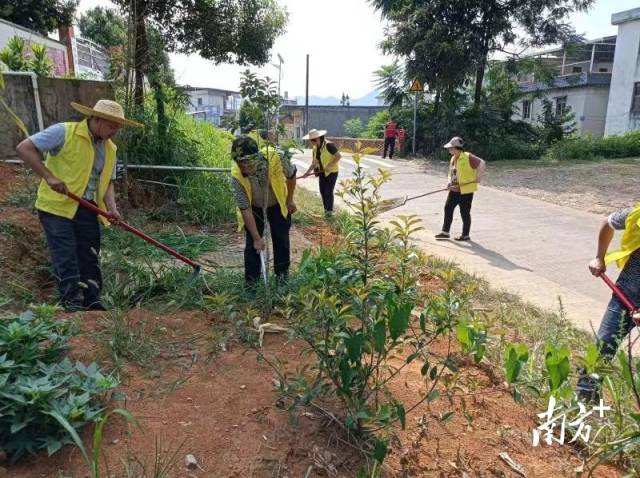 開(kāi)展護(hù)綠行動(dòng)。
