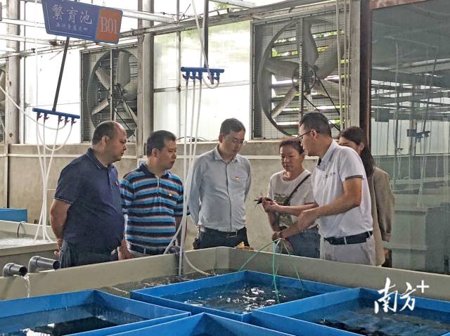 在畔水漁晟園了解特色產(chǎn)業(yè)發(fā)展情況。