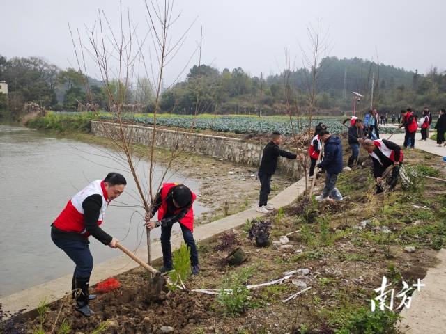 植樹(shù)現(xiàn)場(chǎng)。
