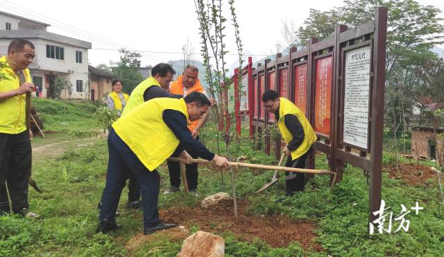 眾人齊心合力種樹。